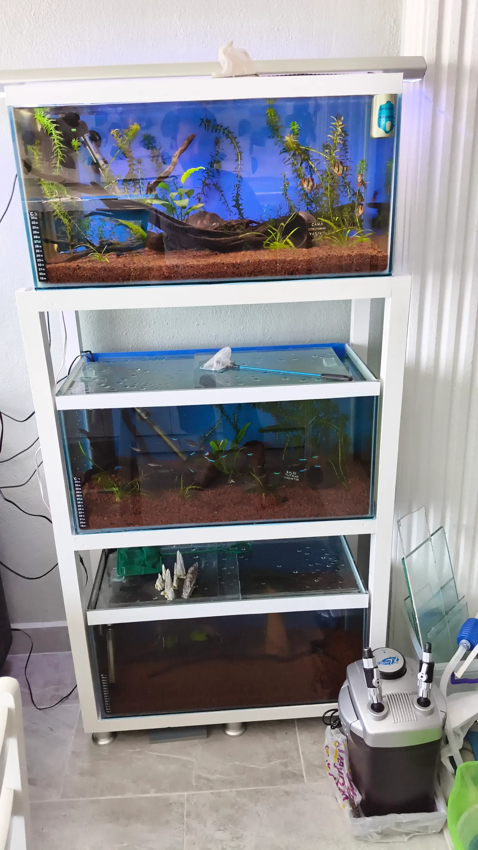 3 Katlı Set Akvaryum ve Ahşap Sehpa